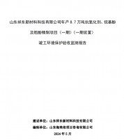 山東祥東新材料科技有限公司年產(chǎn)8.7萬(wàn)噸抗氧化劑、烷基酚及粗酚精制項(xiàng)目(一期)(一期裝置)竣工環(huán)境保護(hù)驗(yàn)收監(jiān)測(cè)報(bào)告