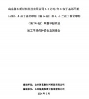 山東祥東新材料科技有限公司1.2萬(wàn)噸/年6-叔丁基鄰甲(60K)、4-叔丁基鄰甲酚(偏 24 酚)和 4，6-二叔丁基鄰甲酚(偏 246 酚)烷基甲酚項(xiàng)目竣工環(huán)境保護(hù)驗(yàn)收監(jiān)測(cè)報(bào)告